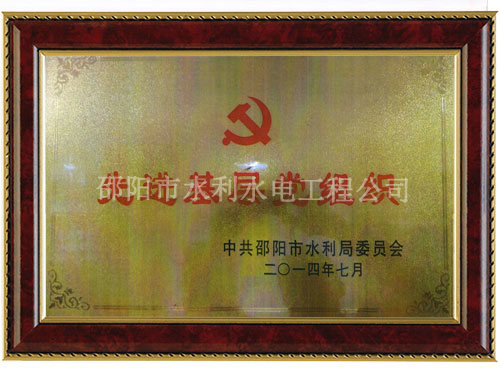 先进基层党组织